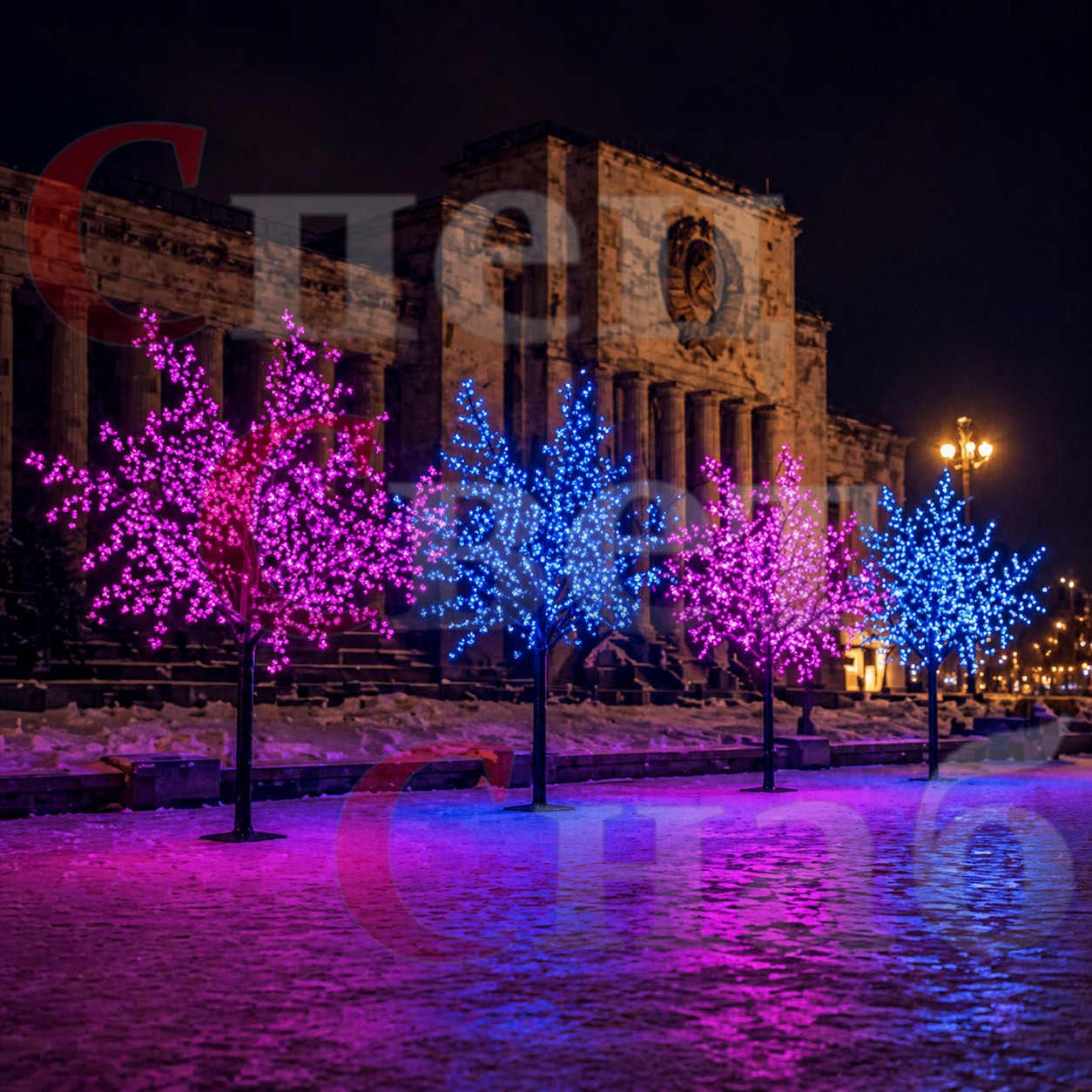 розовая и синяя сакуры